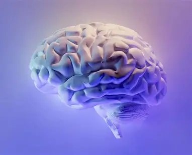 Naturally Support Mental Clarity While Boosting Focus and Cognitive Function