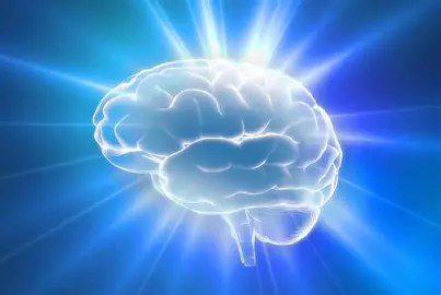 Discover the Best Natural Brain Supplements for Cognitive Support and Wellness