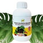 Best Liquid Fertilizer: A Complete Guide for Healthy Growth