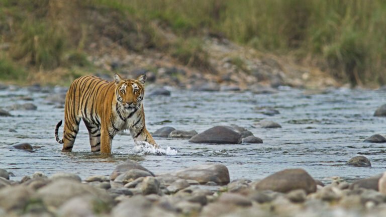 Every guest leaves with memories of luxury