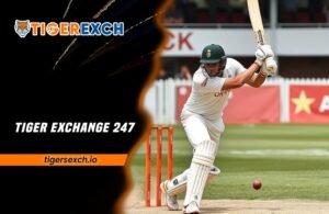 Tiger Exchange 247: Online betting made easy with Tiger Exchange 247