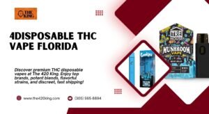 Best Disposable THC Vape Florida – Shop Now at The 420 King