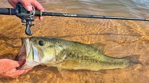 The Ultimate Guide to Essential Gear for Outdoor Water Adventures