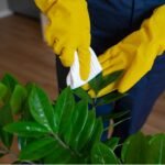 Eco-Safe Green Cleaning Services for Healthier Homes and Offices