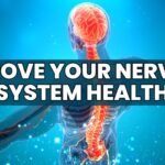 Nerve Health: The Foundation of a Strong Body and Mind