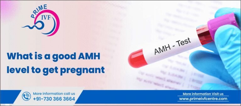 AMH Level to Get Pregnant