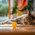 Unlocking Feline Fun: Finding the Best Cat Toys for Your Pet