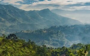 Best Spots to Visit in Netarhat – Netarhat Tourism Highlights with Mountail Eco Resort