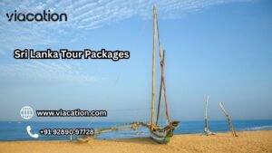 What Should You Look for in a Sri Lanka Tour Package Before Booking?