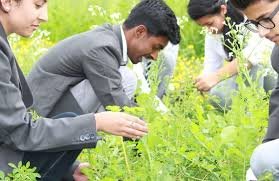 Elite MSc Agriculture Colleges in UP Shine