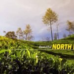 North Bengal Package Tour – Experience Tea Gardens, Wildlife, and Himalayan Views