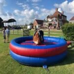 How to Choose the Best Rodeo Bull Hire Service