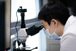 Discover Excellence in Aesthetic Transformation at Yujin Plastic Surgery & Dermatology & Stem Cell Research Center