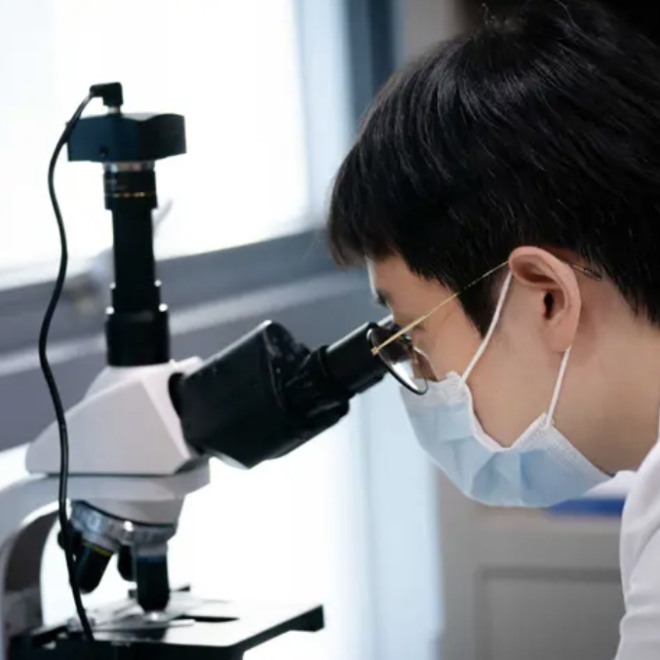 Discover Excellence in Aesthetic Transformation at Yujin Plastic Surgery & Dermatology & Stem Cell Research Center