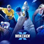 Winexch: Everything Users Need to Know About the Platform