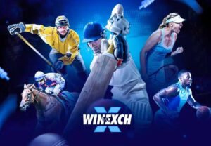 Winexch: Everything Users Need to Know About the Platform