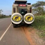 Best Safari in Tanzania: A Simple Guide to an Unforgettable African Adventure