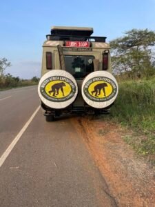 Best Safari in Tanzania: A Simple Guide to an Unforgettable African Adventure