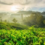 Kolhapur to Malvan Cab | Kolhapur to Malvan Taxi