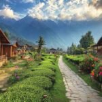 Delhi to Palampur Taxi | Delhi to Palampur Cab