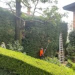 Gardener in Blackett