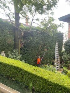 Gardener in Blackett