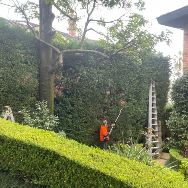 Gardener in Blackett