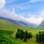 Raipur to Champaran Taxi | Raipur to Champaran Cab