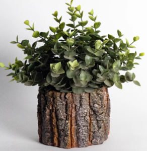 Resin Pots Wholesale: The Perfect Solution for Modern Planter Needs