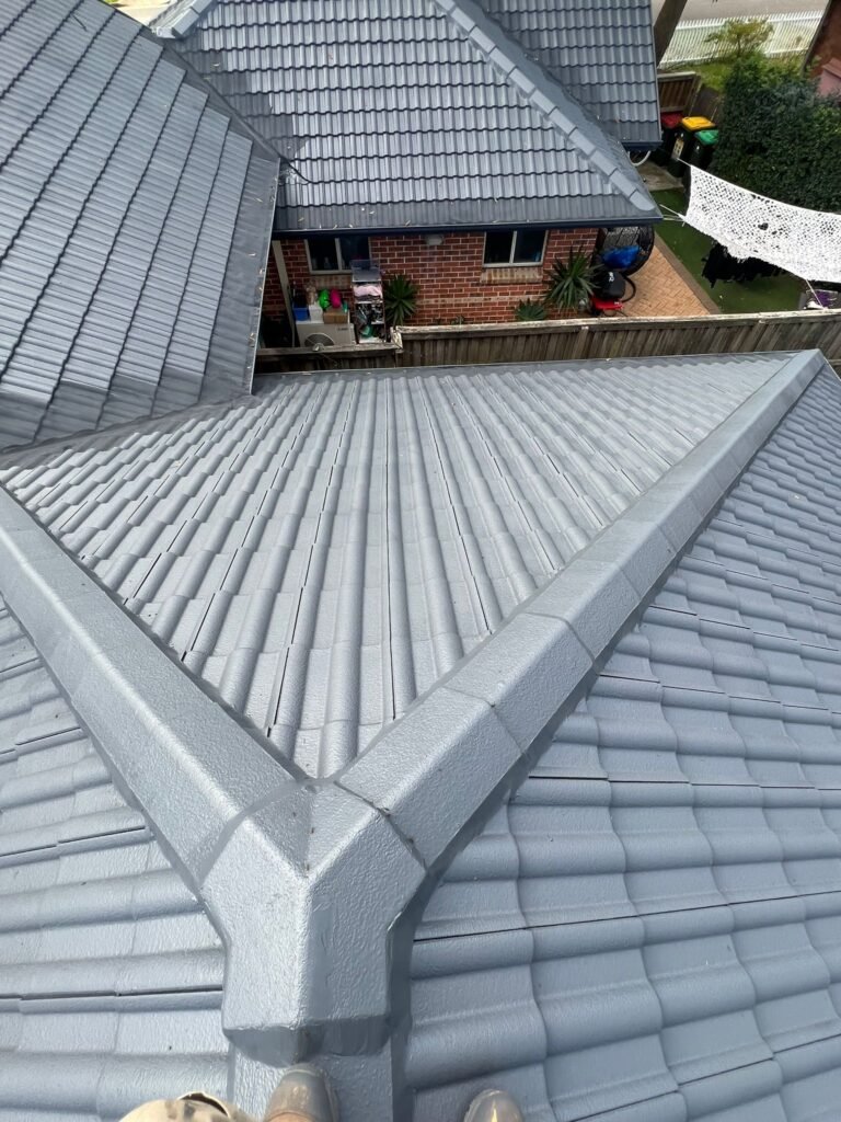 Roof Painters in Lalor Park