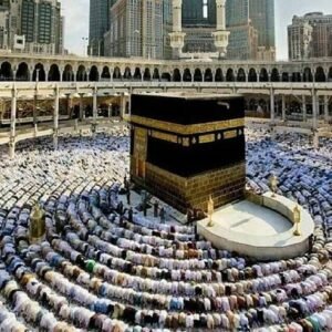 باصات نقل من مكة للمدينة للمسافرين على مدار اليوم