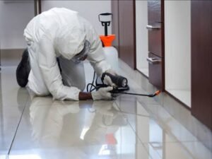 كيف تختفي الحشرات من منزلك باستخدام طرق مكافحة متخصصة؟