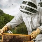 How Pest Control SEO Services Help Businesses Grow in Houston
