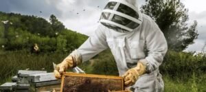How Pest Control SEO Services Help Businesses Grow in Houston