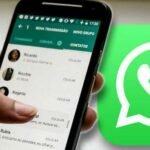 How WhatsApp Features Can Improve Your Business Experience