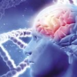 دور دكتور مخ واعصاب في تشخيص مشاكل الأعصاب الطرفية