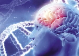 دور دكتور مخ واعصاب في تشخيص مشاكل الأعصاب الطرفية