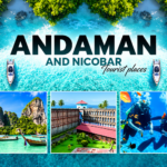 Travel Packages to Andaman | Explore Island Paradise