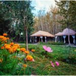 Exploring Nubra Valley: Best Cafes, Organic Cuisine, and Comfortable Stays