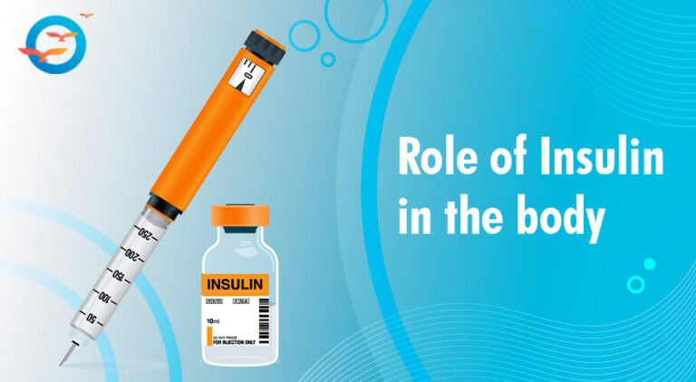 Role of Insulin in human body : FFD