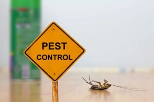The Complete Guide to Professional Weed Control and Lawn Care