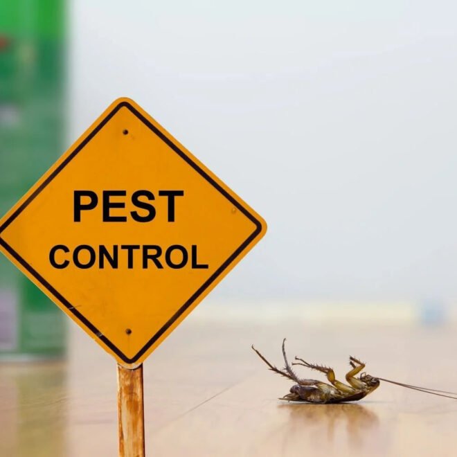 The Complete Guide to Professional Weed Control and Lawn Care