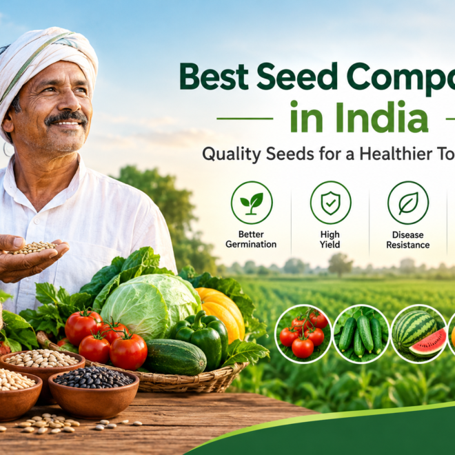 Best Seed Companies in India: Supporting Better Farming and Crop Productivity