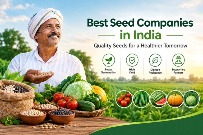 Best Seed Companies in India: Supporting Better Farming and Crop Productivity