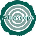 Tree Surgeon Workington – Professional Tree Care by Arborscape