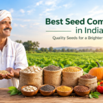 F1 Tomato Seeds: A Smart Choice for Modern Tomato Farming