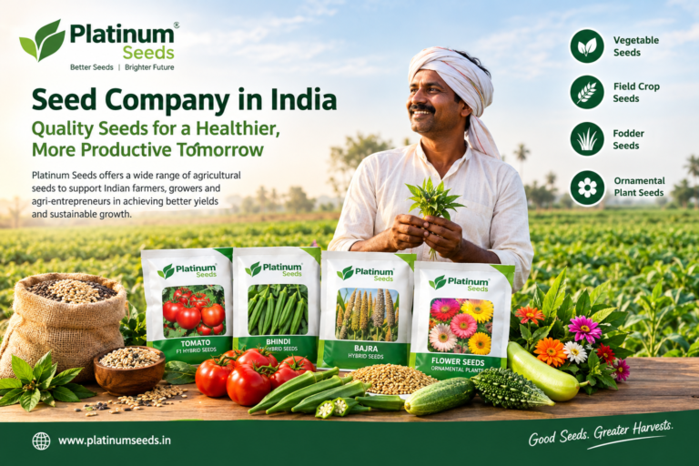 Hybrid Vegetable Seeds Online: A Convenient Choice for Modern Farming