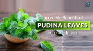 Health Benefits of Mint Leaves