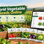 Hybrid Vegetable Seeds Online: A Practical Guide for Modern Vegetable Growing