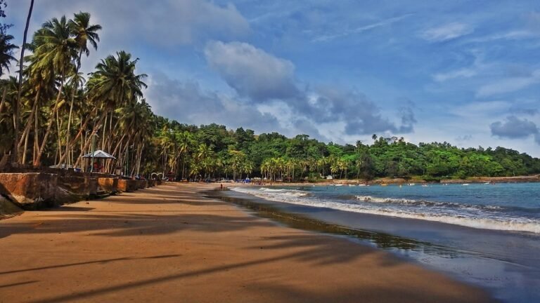 Complete Guide to Exploring the Andaman Islands – 2026